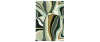 Vloerkleed Estella Curve 83801