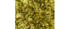 Vloerkleed Parker Green