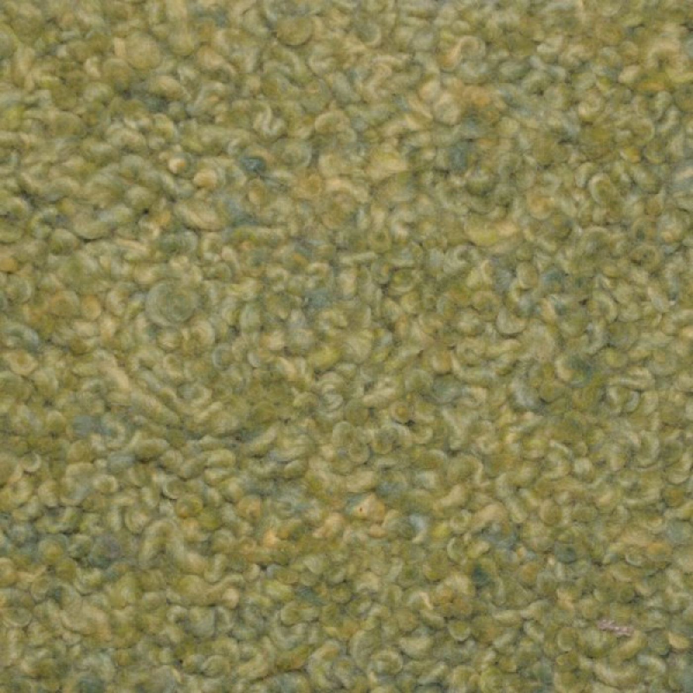 Vloerkleed Mogador M-28