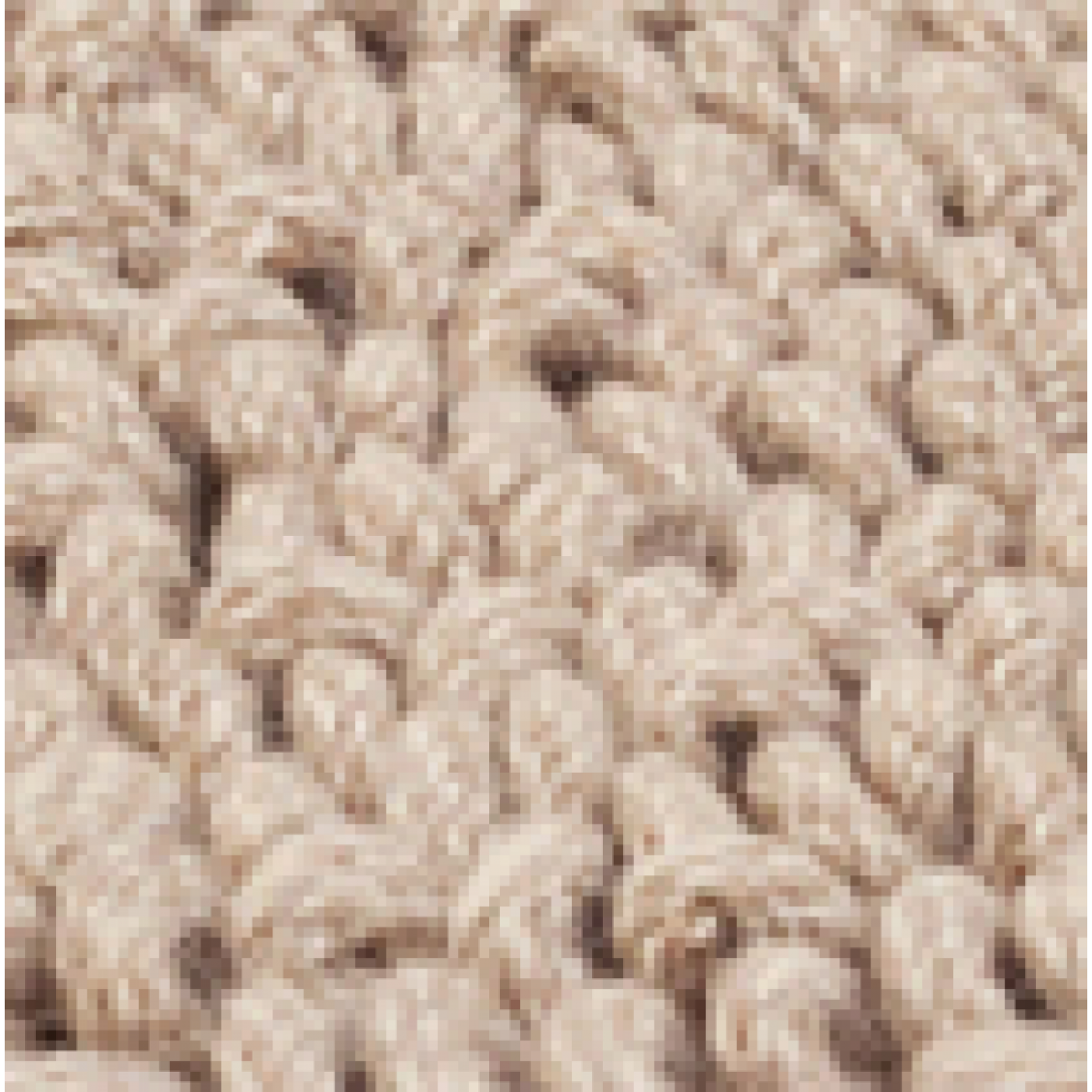 Vloerkleed Tigra A