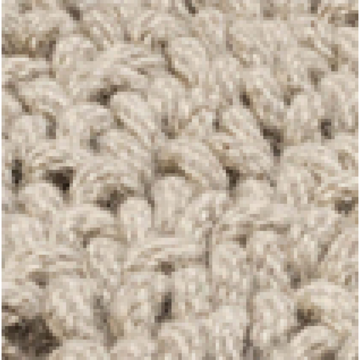 Vloerkleed Tigra C