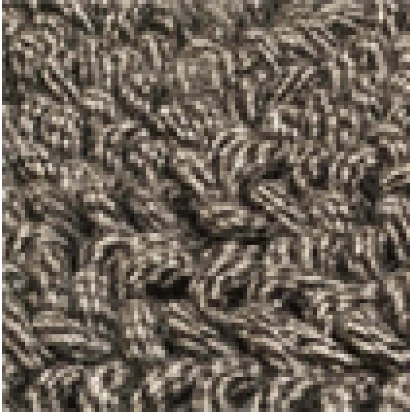 Vloerkleed Tigra D